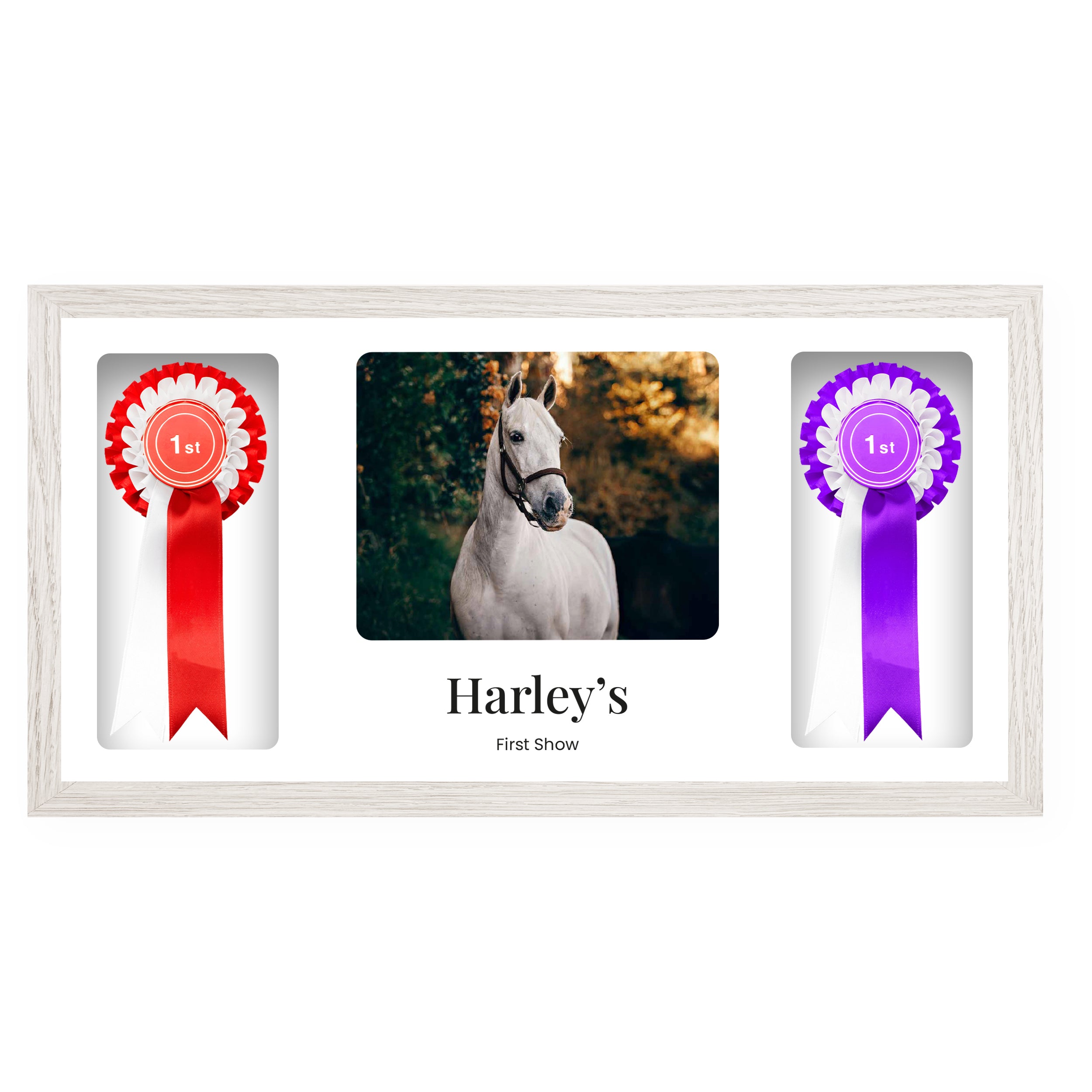 60x30 Horse Competition Frame – Paw Prints